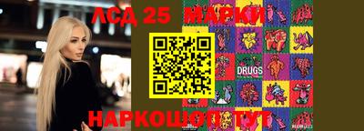 mdpv Дубна