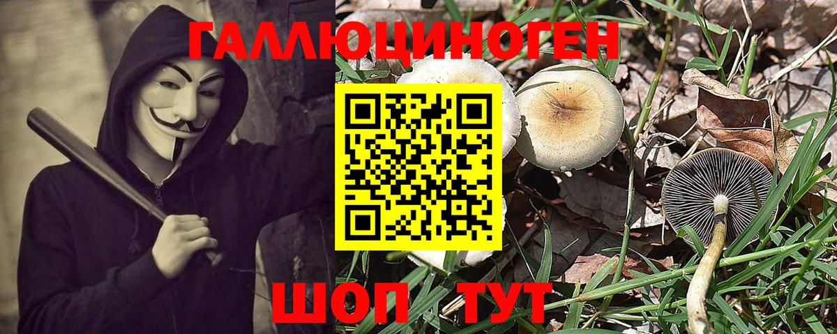 COCAIN  МЕФ  Мурино  ГАШИШ  Меф кристаллы  Гашиш  Каннабис  Вход с VPN 