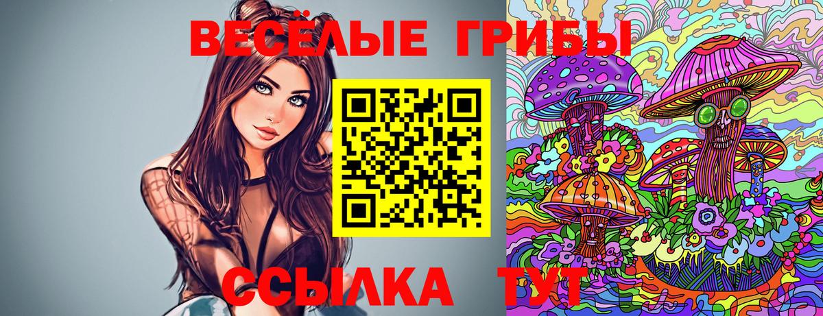 Мурино  Галлюциногенные грибы Psilocybe  Псилоцибиновые грибы Psilocybe  Вход с VPN 